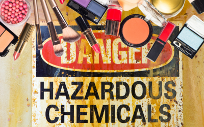 Environmental Endocrine Disruptors and Lipoedema: Exploring a Hormone-Mediated Pathway